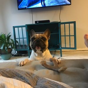 Meet your Posher, Karmen